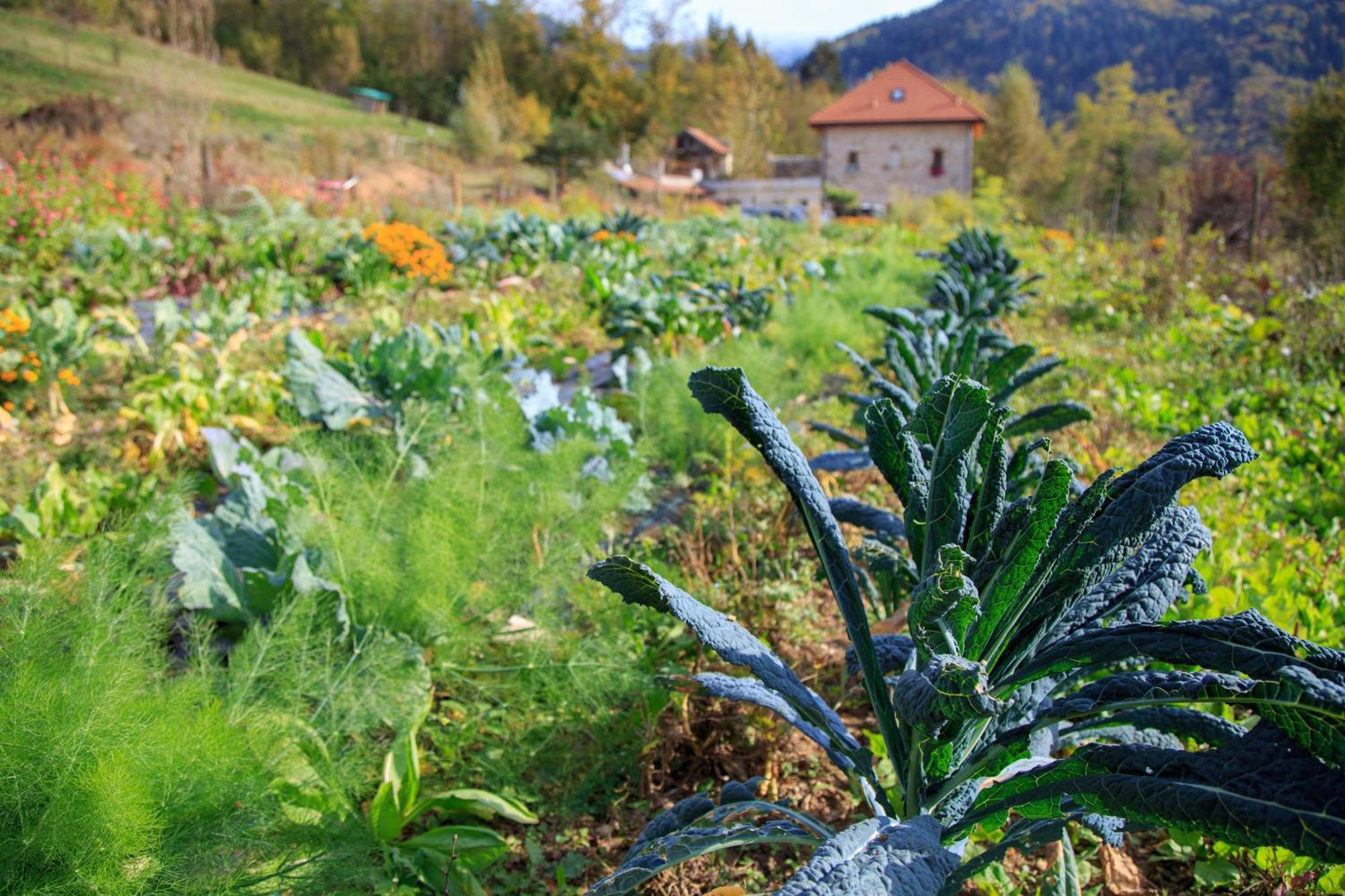 Agriturismo Fattoria Ortoalpino Trichiana Luaran gambar
