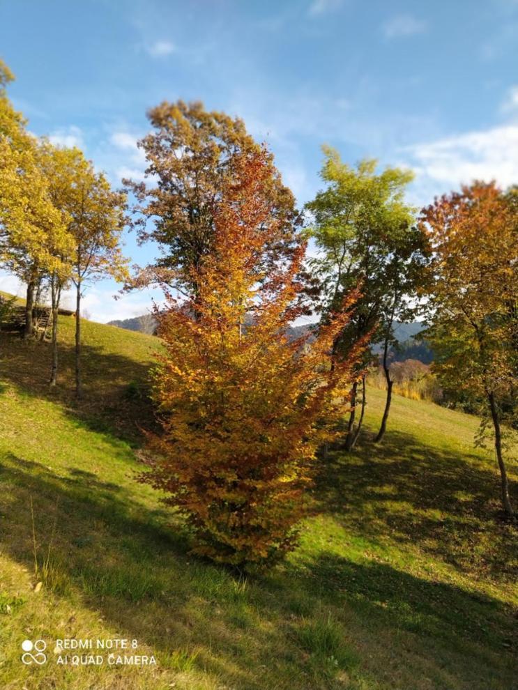 Agriturismo Fattoria Ortoalpino Trichiana Luaran gambar
