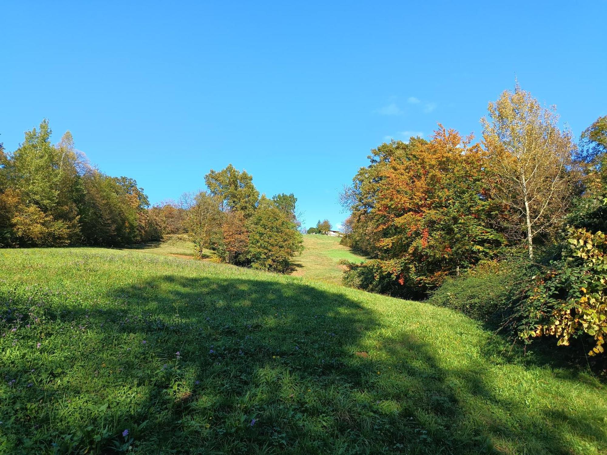 Agriturismo Fattoria Ortoalpino Trichiana Luaran gambar