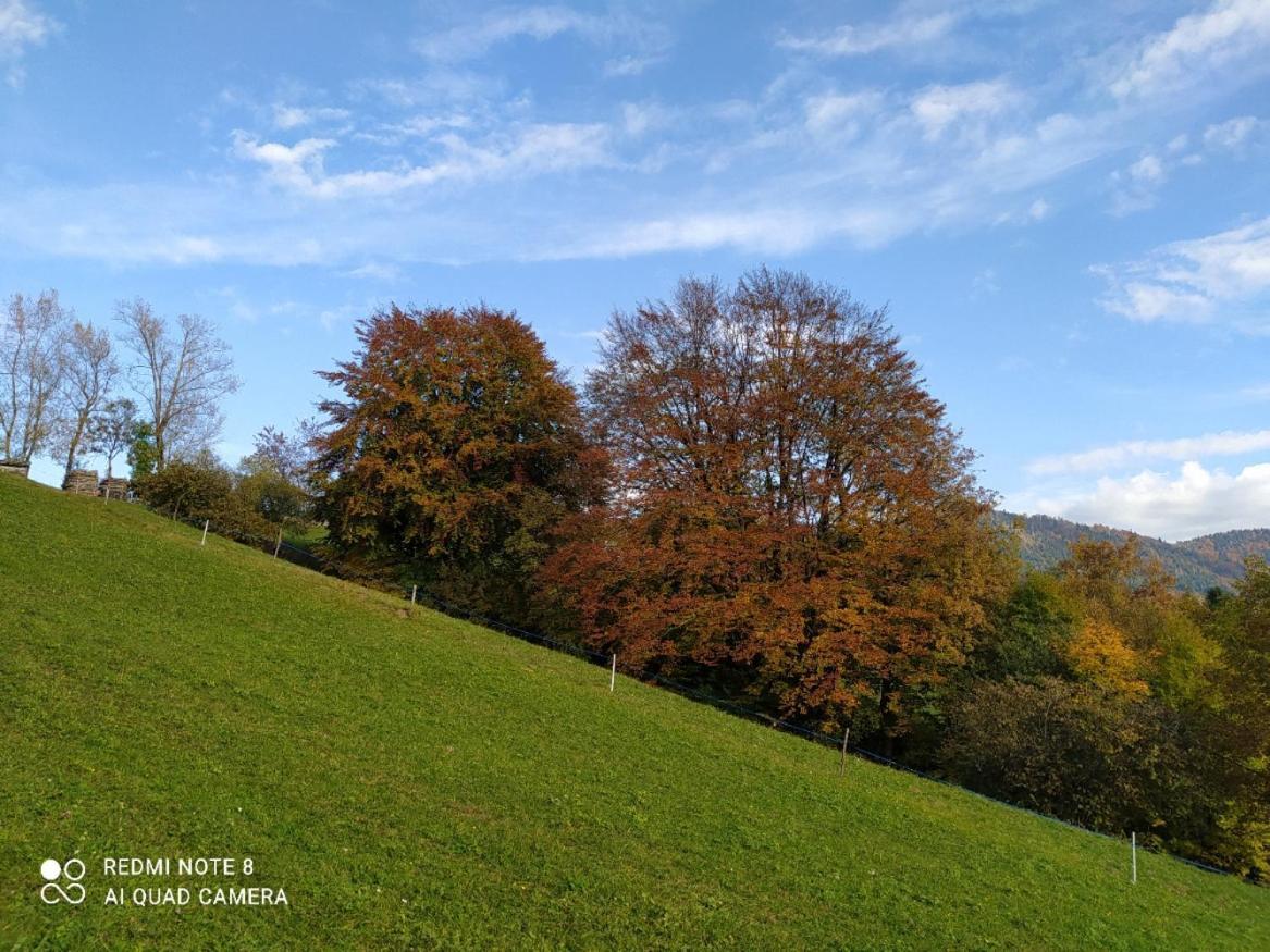 Agriturismo Fattoria Ortoalpino Trichiana Luaran gambar