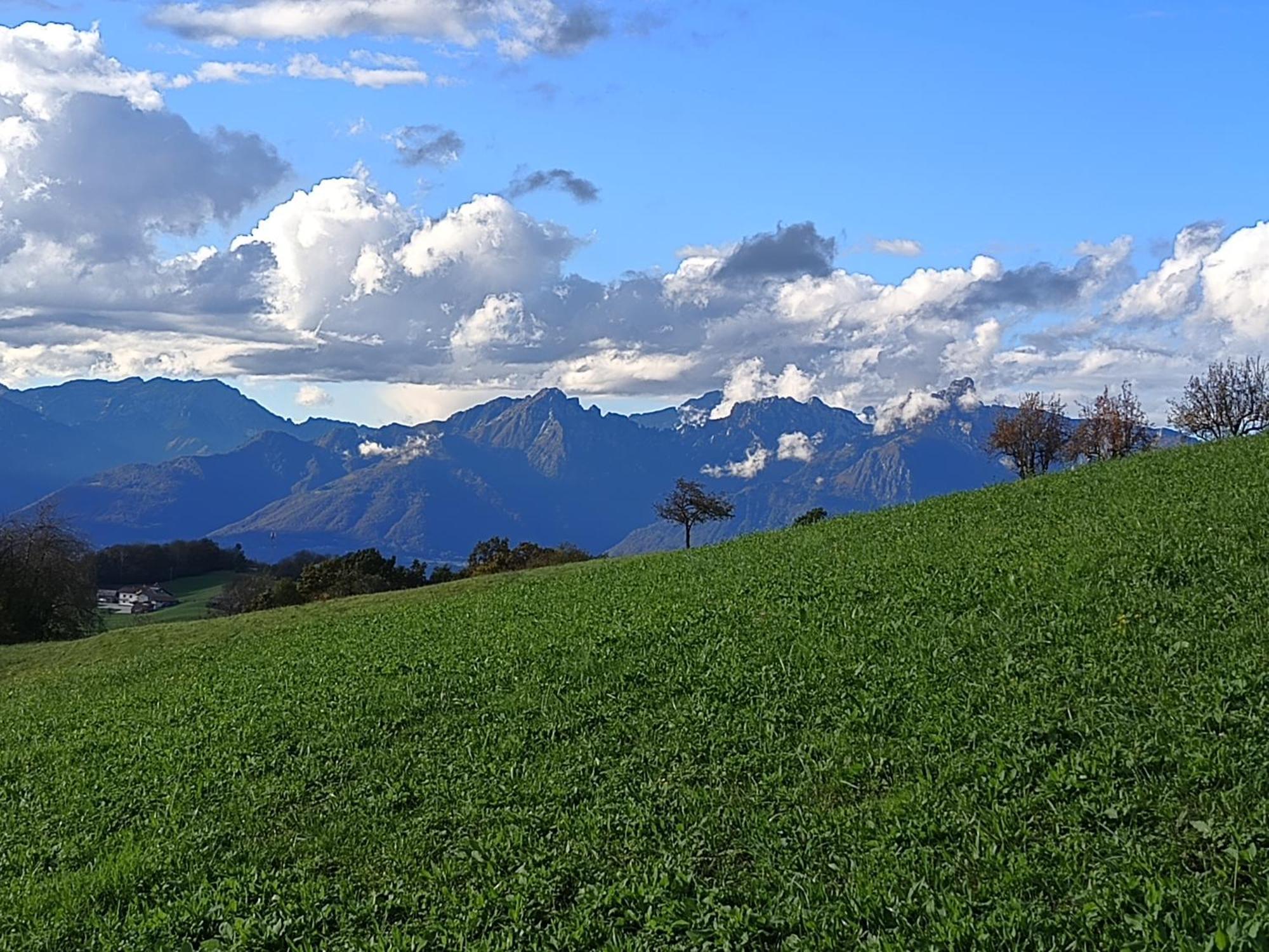 Agriturismo Fattoria Ortoalpino Trichiana Luaran gambar