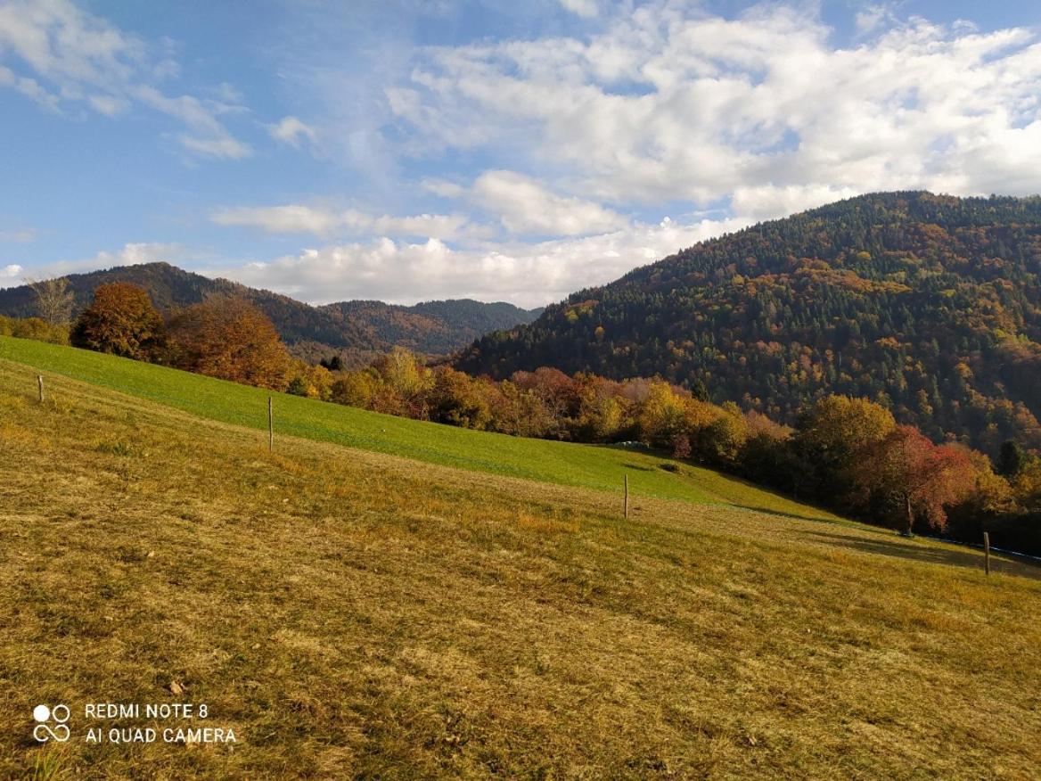 Agriturismo Fattoria Ortoalpino Trichiana Luaran gambar