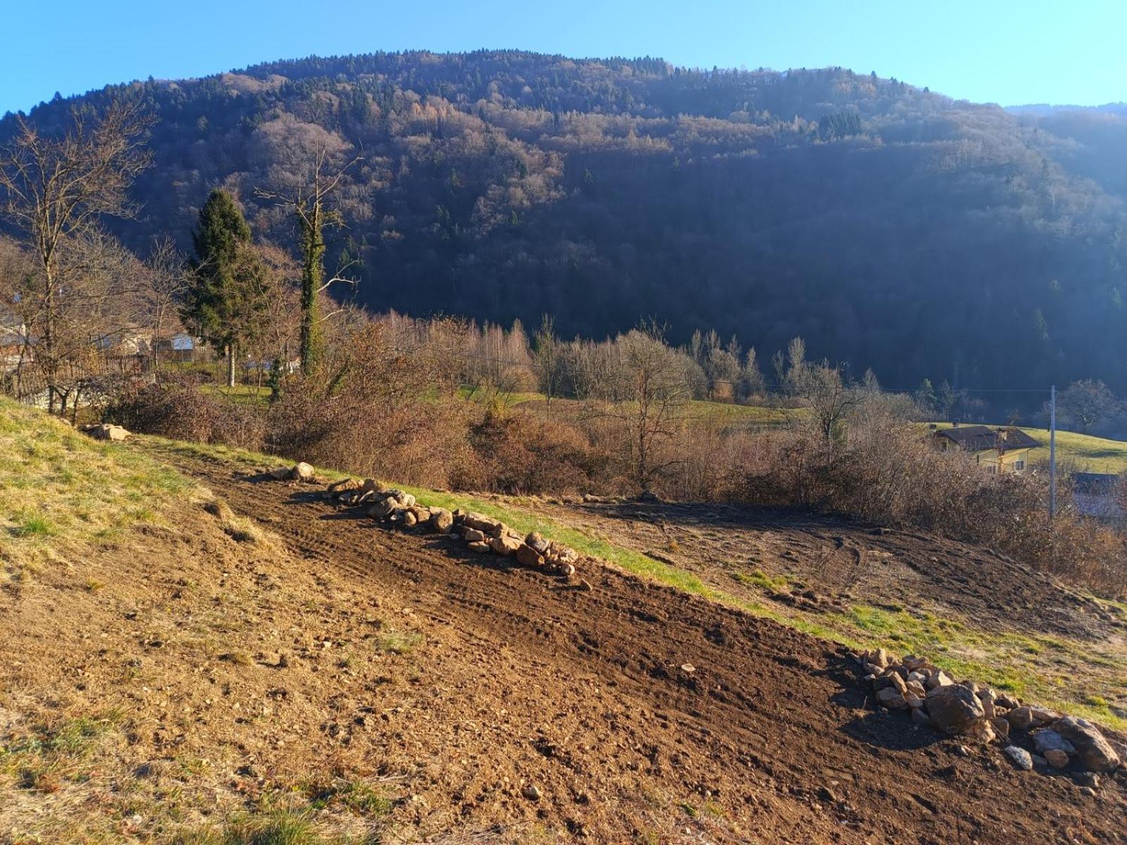 Agriturismo Fattoria Ortoalpino Trichiana Luaran gambar