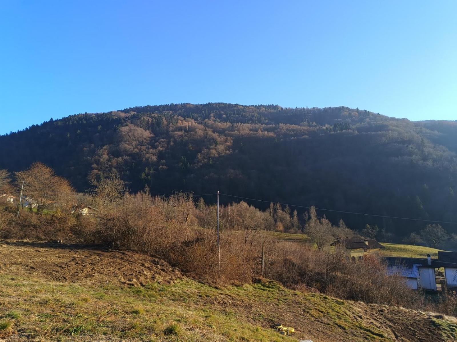 Agriturismo Fattoria Ortoalpino Trichiana Luaran gambar