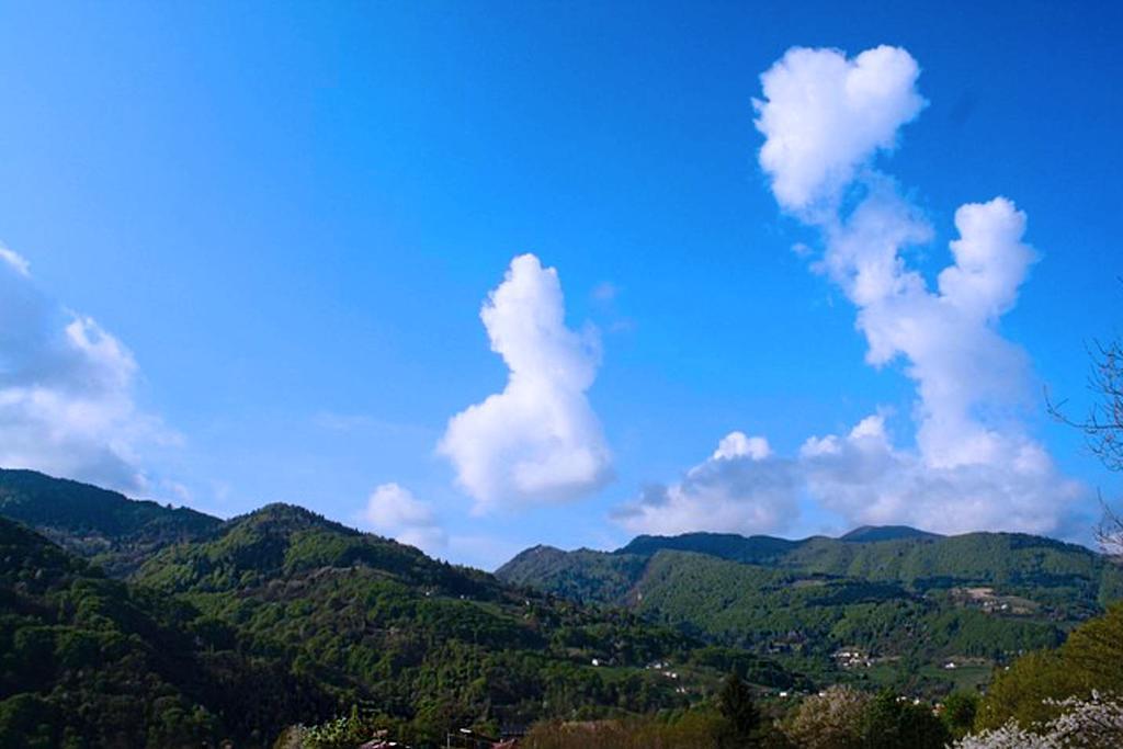 Agriturismo Fattoria Ortoalpino Trichiana Luaran gambar