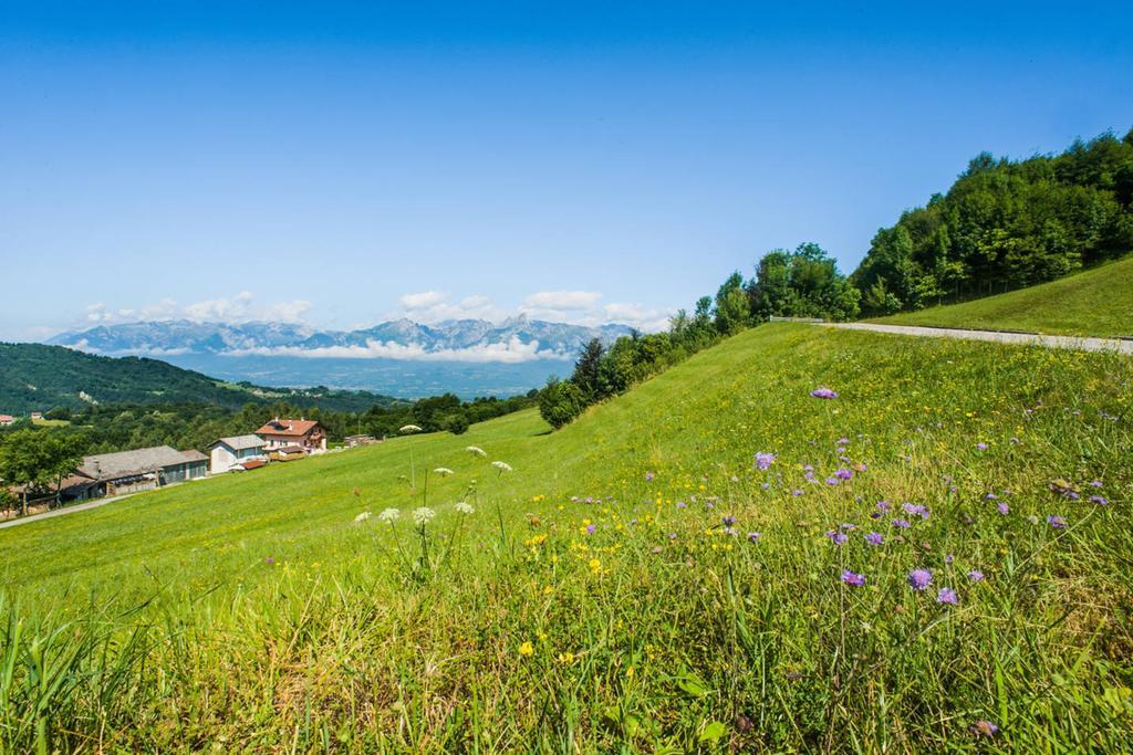Agriturismo Fattoria Ortoalpino Trichiana Luaran gambar