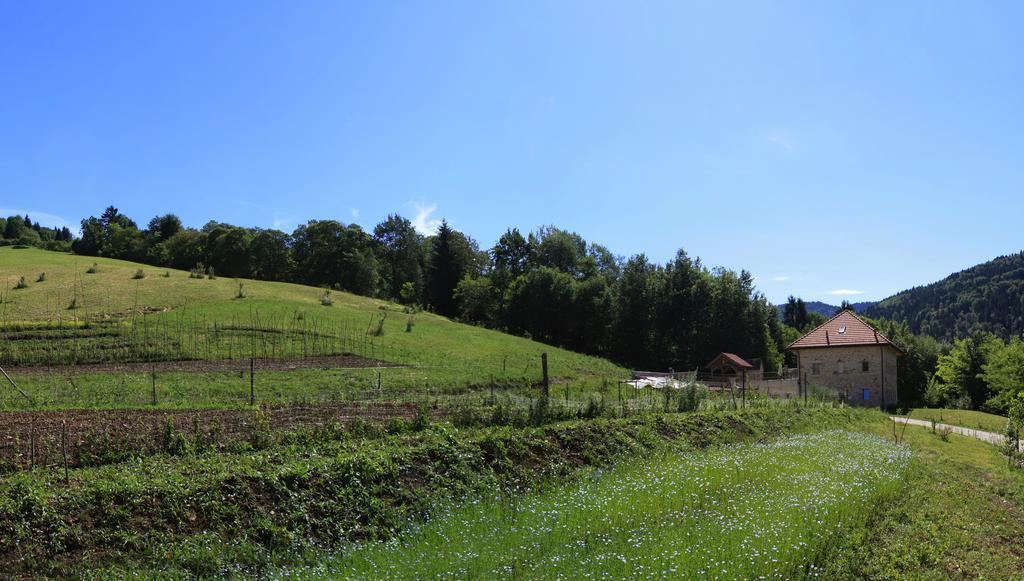 Agriturismo Fattoria Ortoalpino Trichiana Luaran gambar